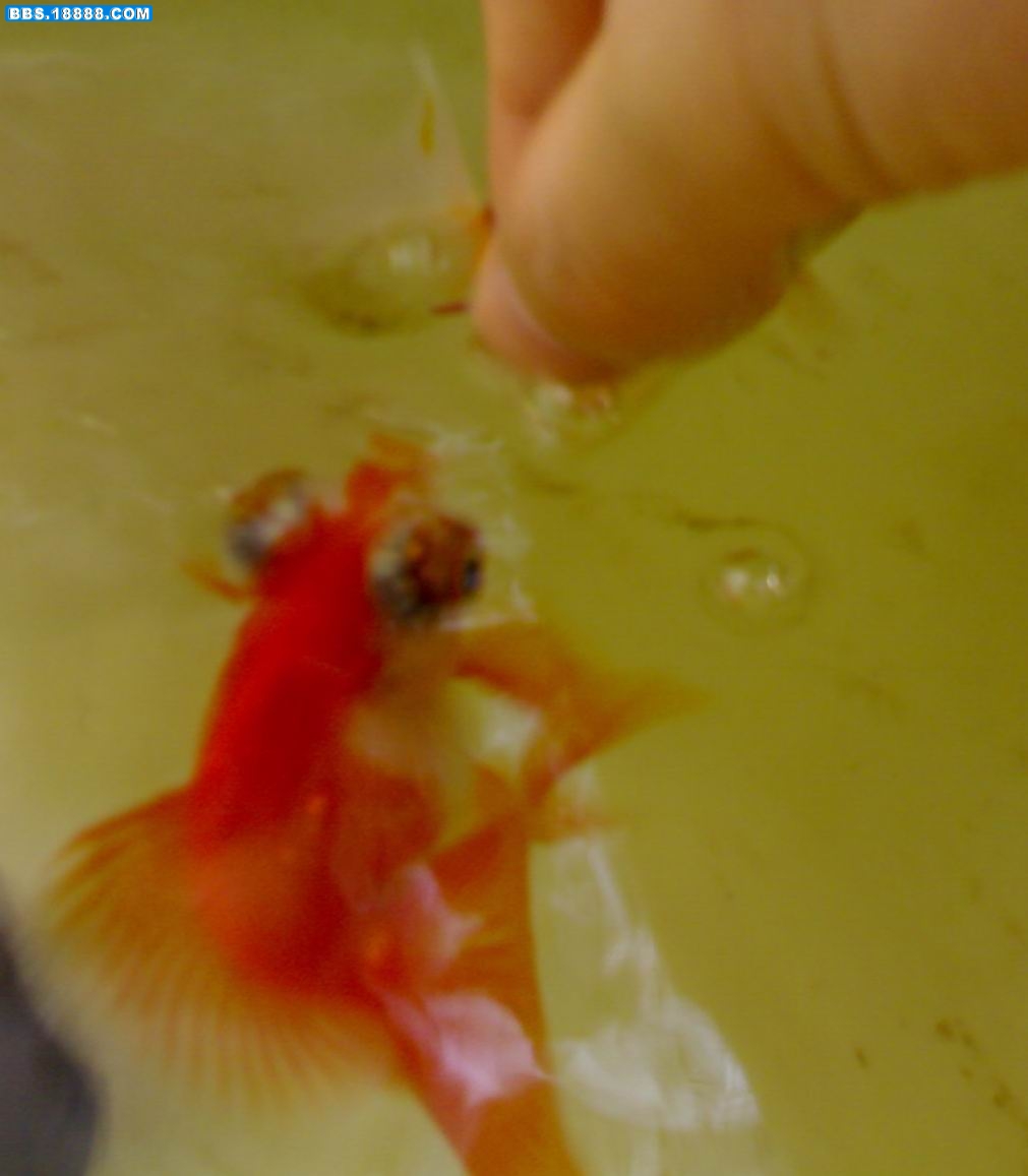 20090708263.jpg