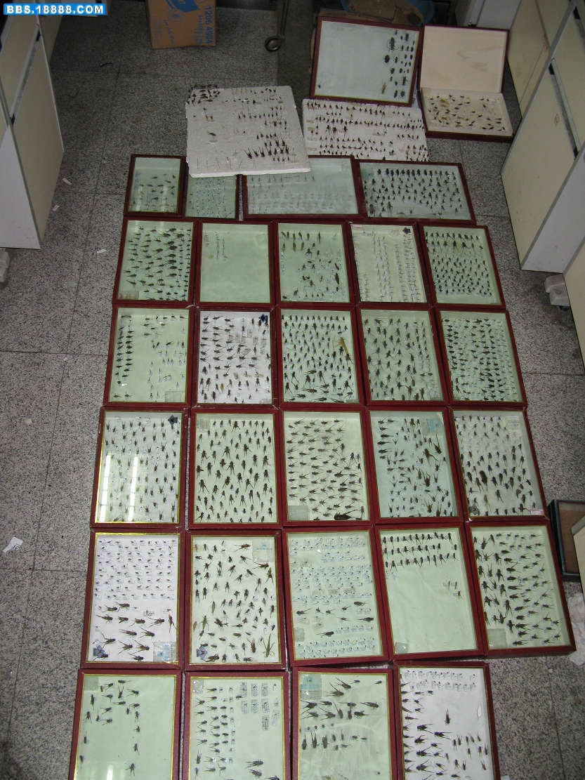 123.jpg