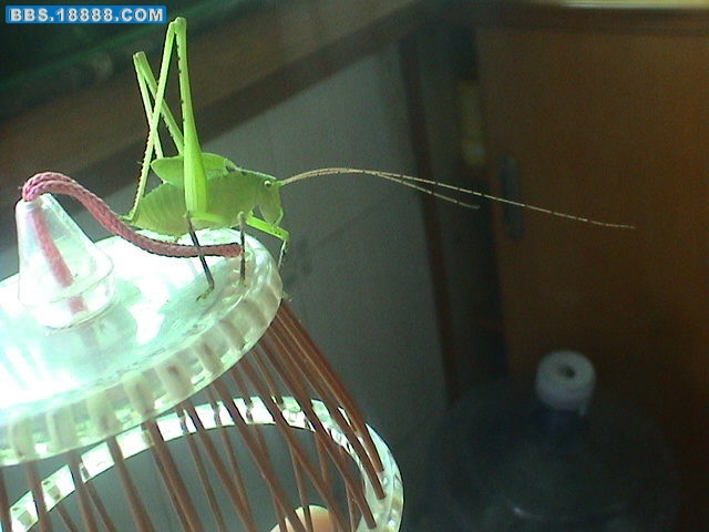 DSC00102.JPG