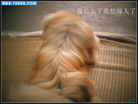 IMG0197A_副本_副本.jpg