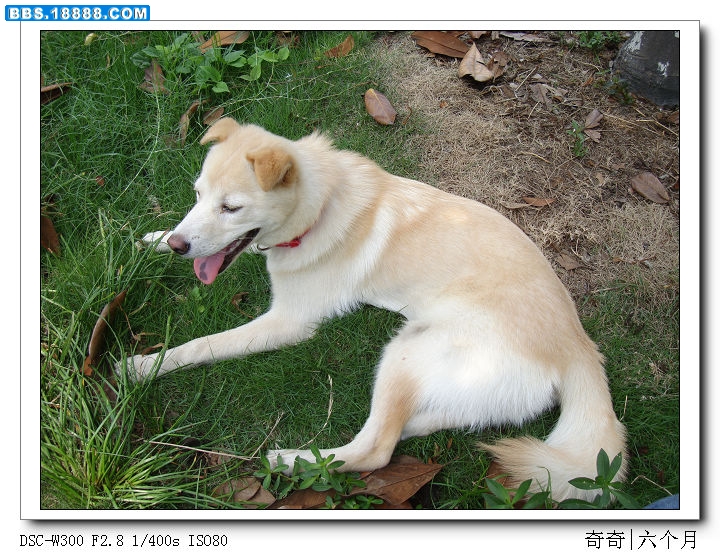 nEO_IMG_DSC04395.jpg