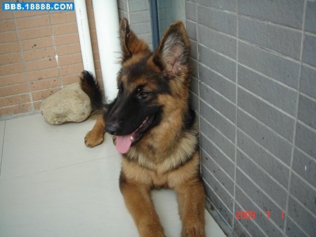 DSC01787.JPG
