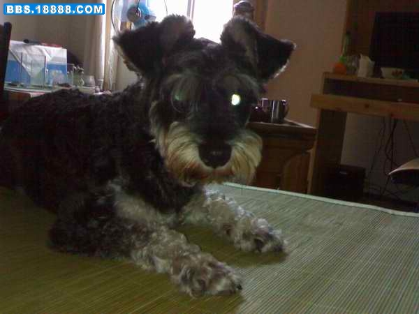 200906291237.jpg