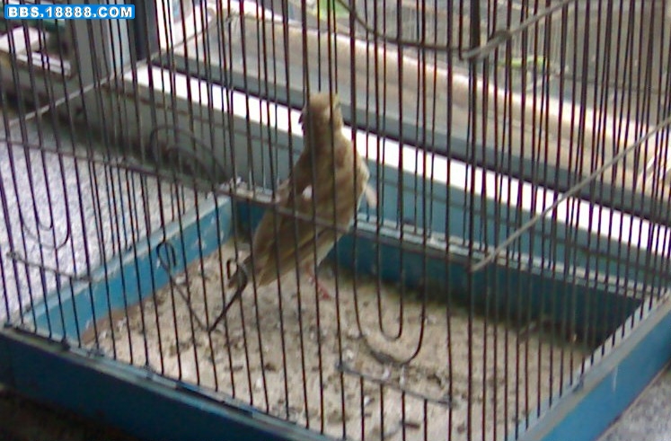200907251055-002.jpg