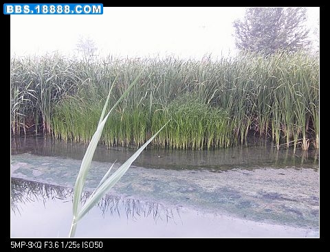 nEO_IMG_PICT0021.jpg