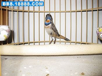 IMG_0033.jpg