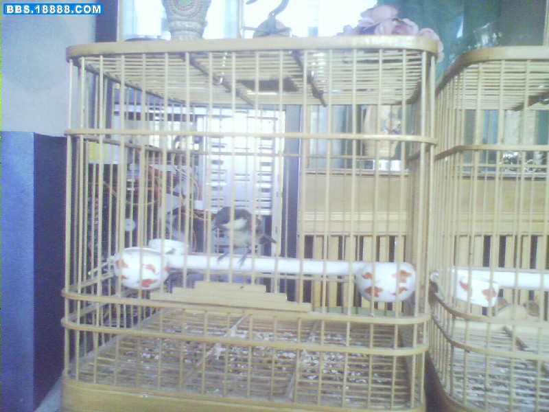 DSC0005.JPG