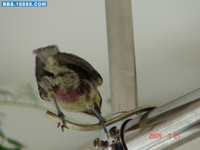 DSC00436_缩小大小.JPG