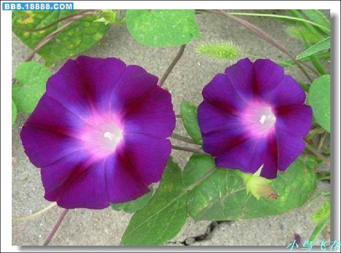 DSCF2902.jpg
