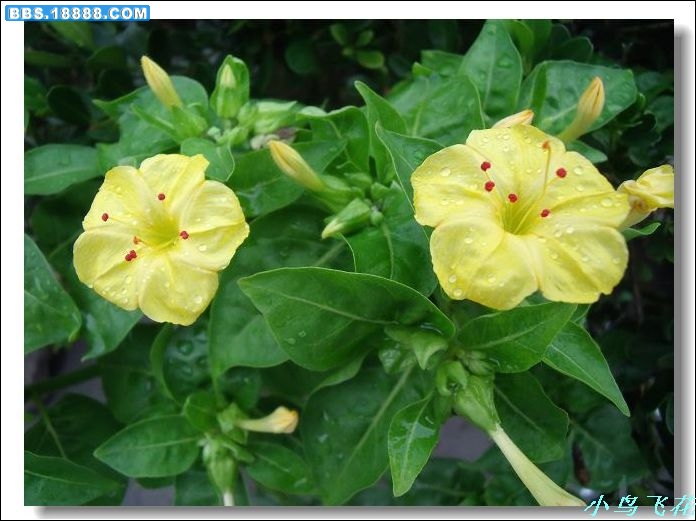 DSCF2845.jpg