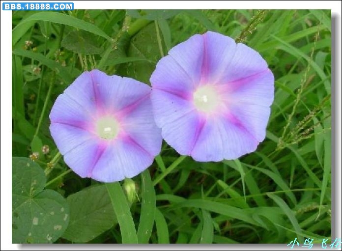 DSCF2907.jpg
