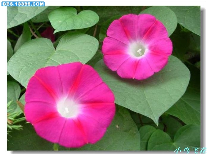DSCF2910.jpg