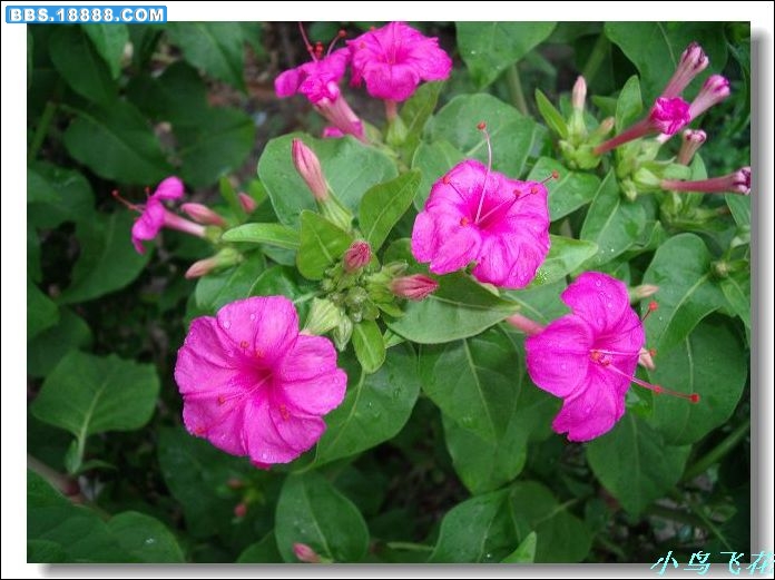 DSCF2837.jpg