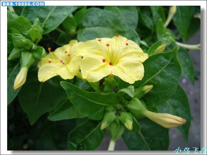 DSCF2844.jpg