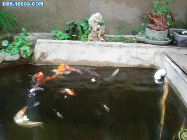 DSC04310.JPG
