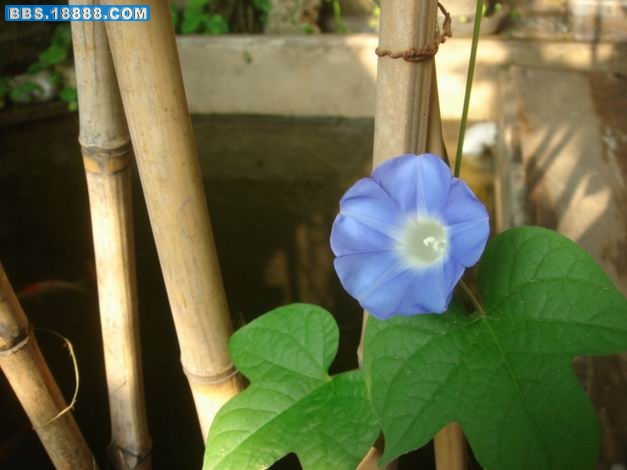 DSC04814.JPG