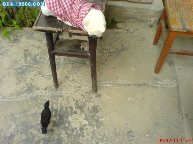 DSC01507.JPG