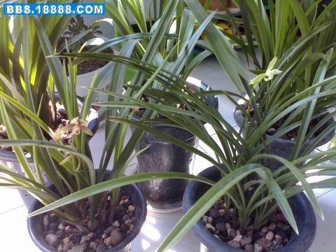 100_75691_be2df65a00cb0db.jpg