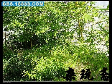 后2.jpg