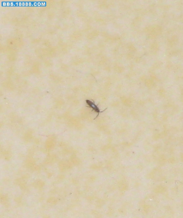照片 109.jpg