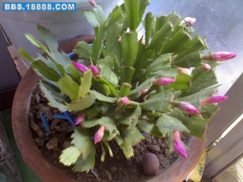 20090819420.jpg