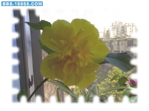 20090827433.jpg