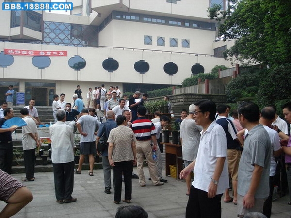 DSC07353_缩小大小_缩小大小.jpg