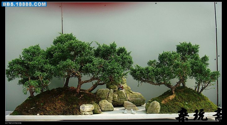 盆7.jpg