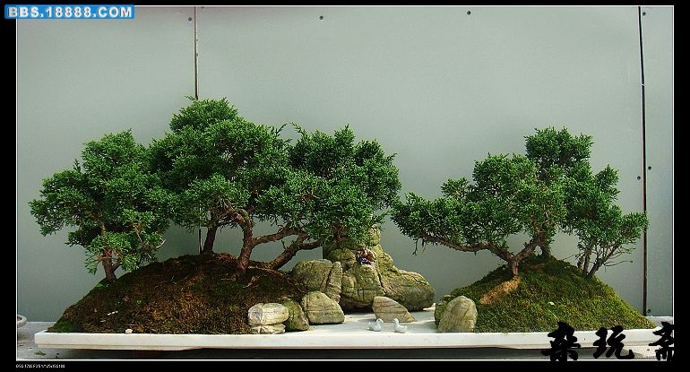 盆6.jpg
