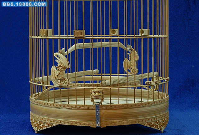 照片 557.jpg
