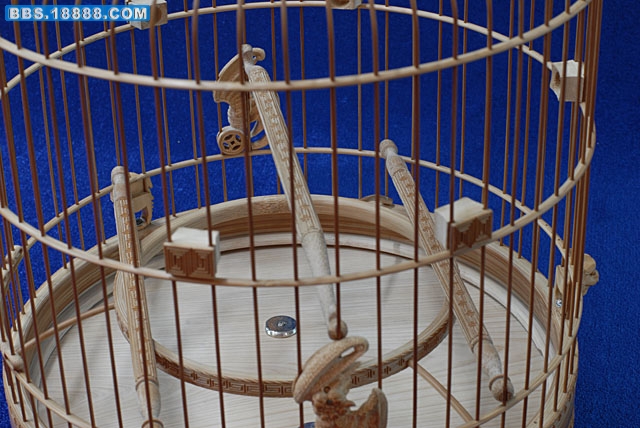 照片 543.jpg