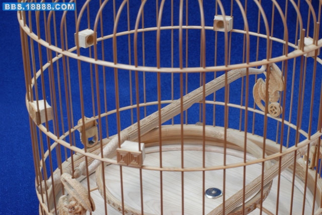 照片 544.jpg