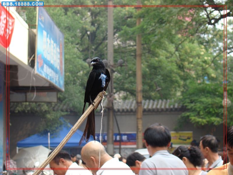 DSC01365.jpg