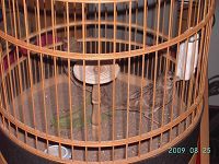 PICT0638.JPG