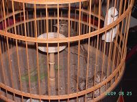 PICT0640.JPG
