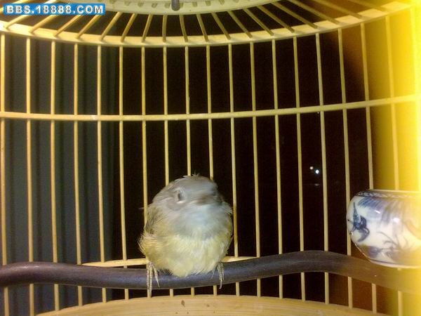 调整大小 20090829116.jpg