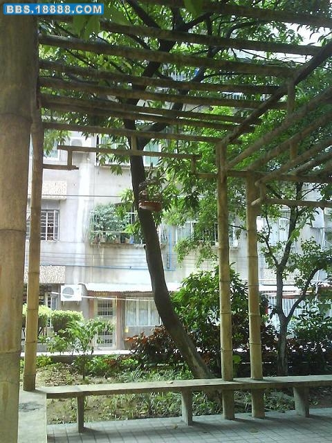 DSC02857.JPG