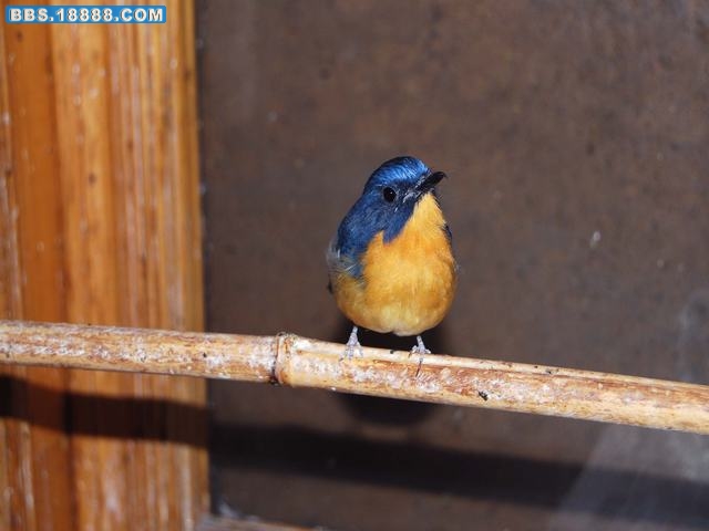 DSC_0010.JPG