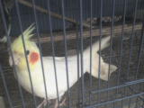 DSC00011.JPG
