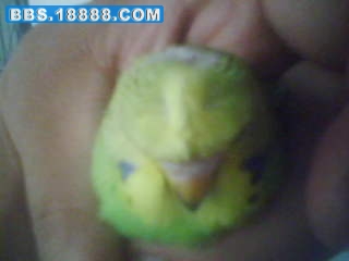 200908121854520.jpg
