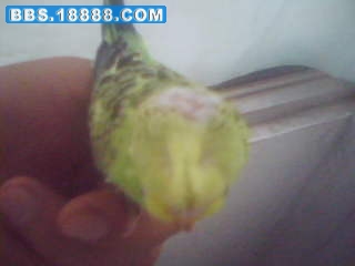 200908121858440.jpg