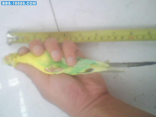 200908151705220.jpg