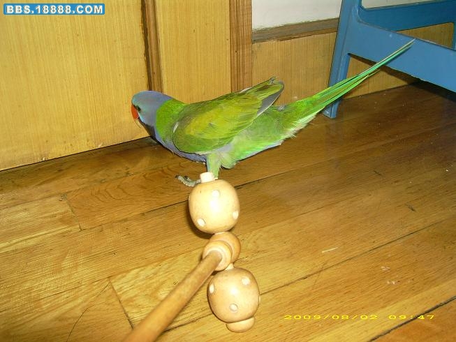 11.JPG