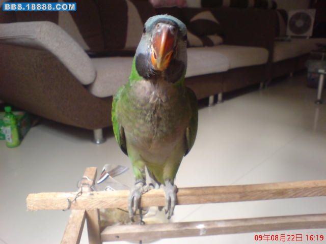 DSC00070.JPG