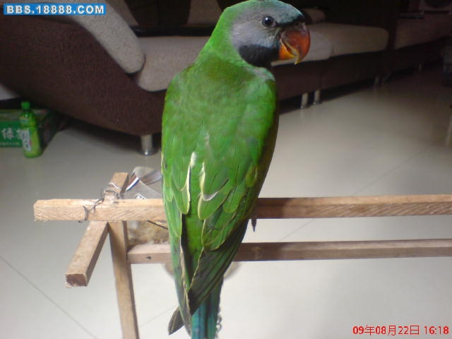 DSC00062.JPG