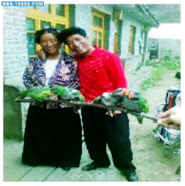 未命名.jpg