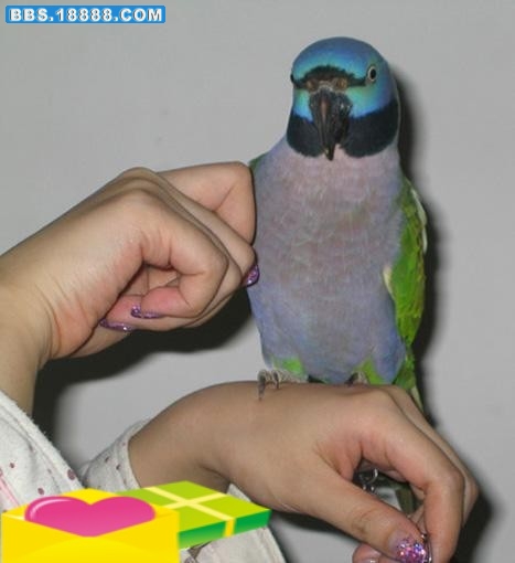 633693470998901082a_conew1.jpg
