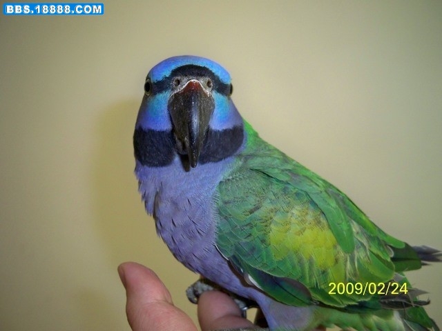 222_122219_7e43fc1d2cd4444_conew1.jpg