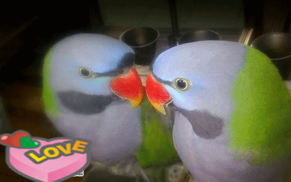 633717597160235000a_conew1.gif