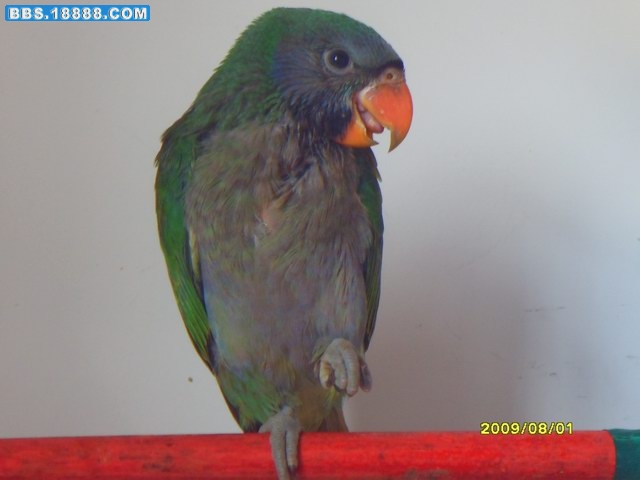SDC12034.JPG